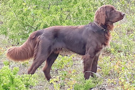 eiko von der schmiede